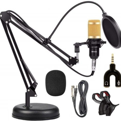 TECHTEST Professional BM-800 Microphone With Mic Stand